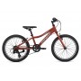 Giant велосипед XtC Jr 20 Lite - 2021