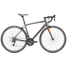 Giant Contend 1 2019